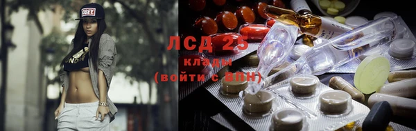 винт Богданович