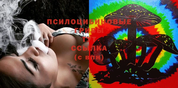винт Богданович