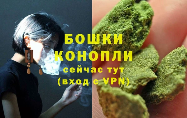 винт Богданович