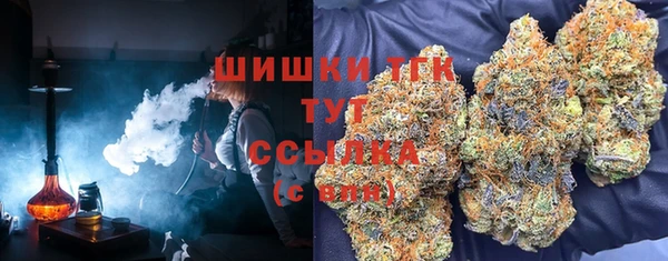 гидропоника Богородск