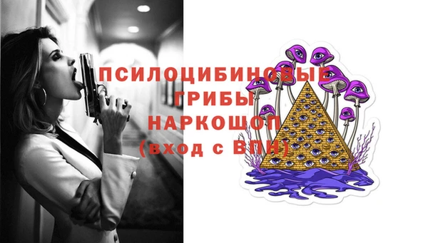 гидропоника Богородск
