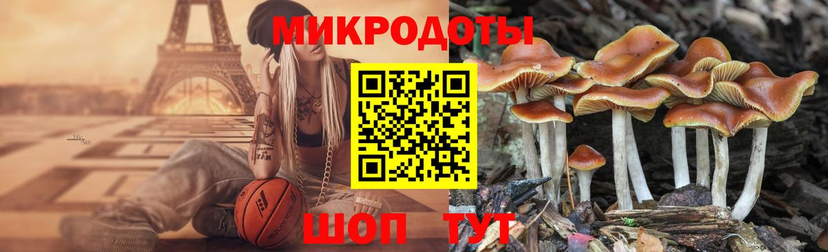 Галлюциногенные грибы Psilocybine cubensis Бор