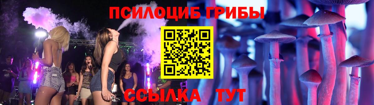 Галлюциногенные грибы Psilocybine cubensis  Псилоцибиновые грибы Psilocybe  Бор 