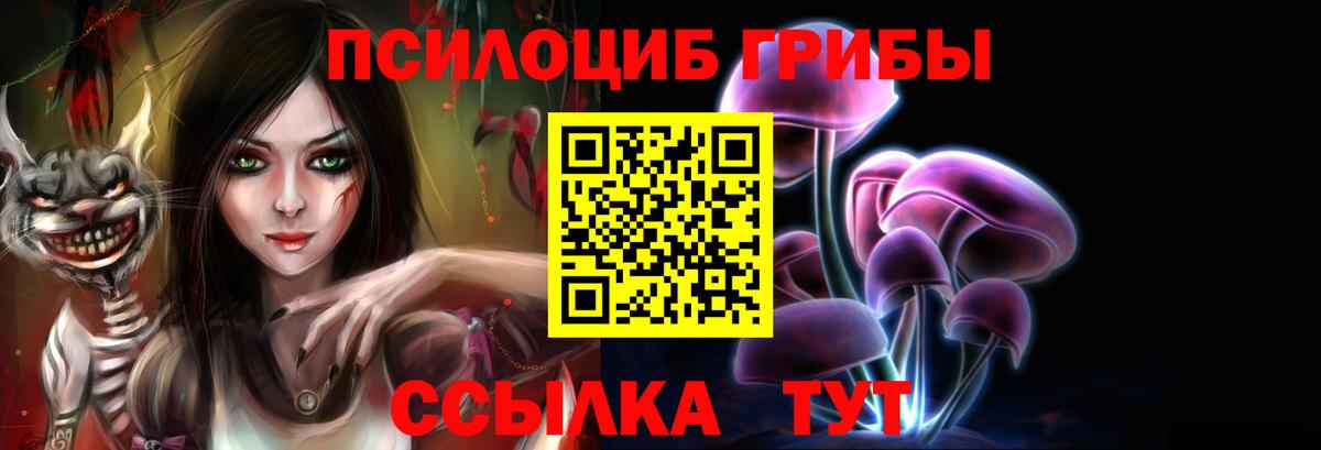 Псилоцибиновые грибы GOLDEN TEACHER  Вход с VPN  Бор 