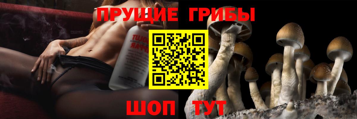 Галлюциногенные грибы мицелий Бор