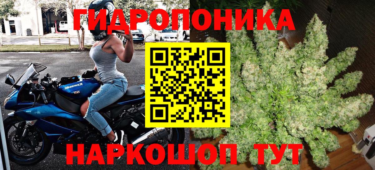 Шишки марихуана LSD WEED  Конопля семена  Бор 